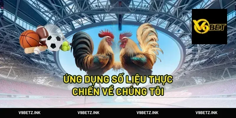 Ứng dụng số liệu thực chiến về chúng tôi